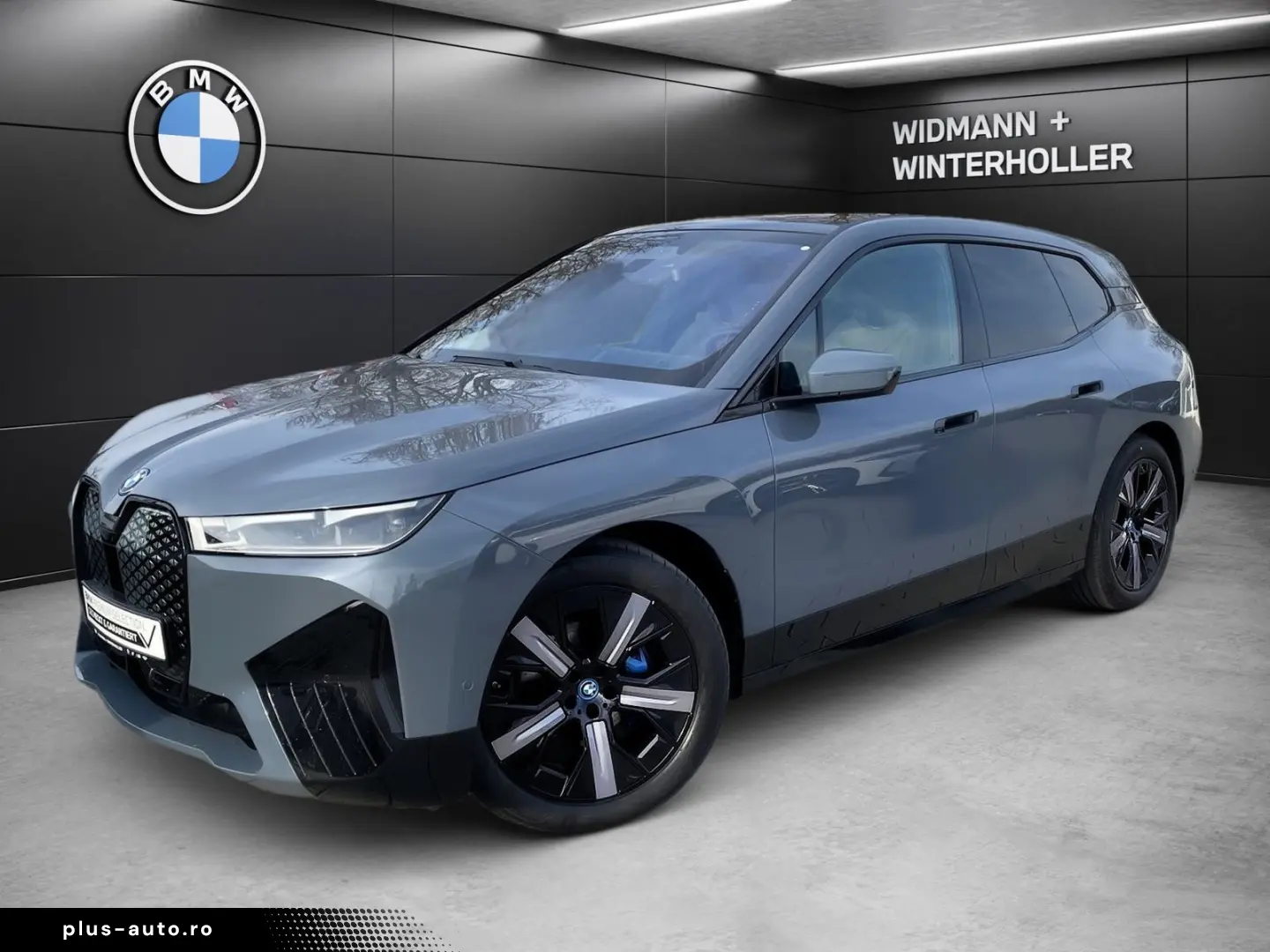 BMW iX xDrive50 Sportpaket Pano Sky LC Prof. DA