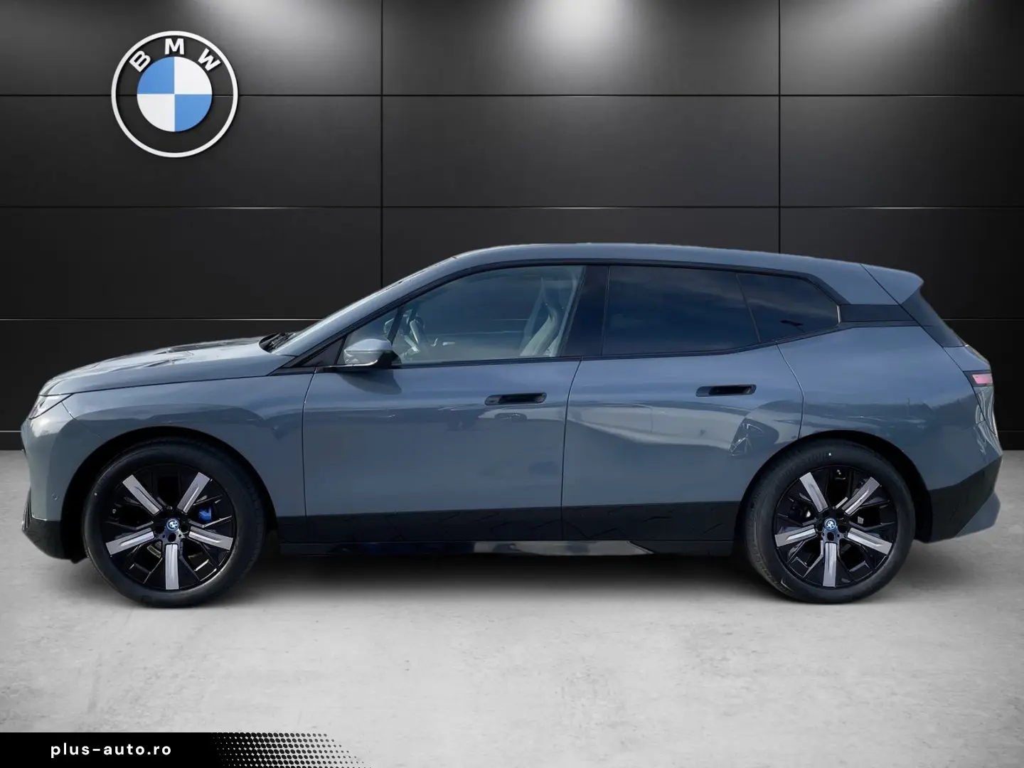 BMW iX xDrive50 Sportpaket Pano Sky LC Prof. DA