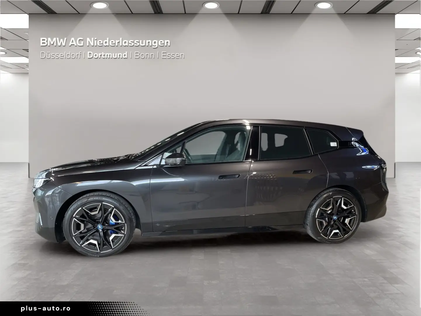 BMW iX xDrive50 AHK Driv.Assist.Prof Harman K Laser