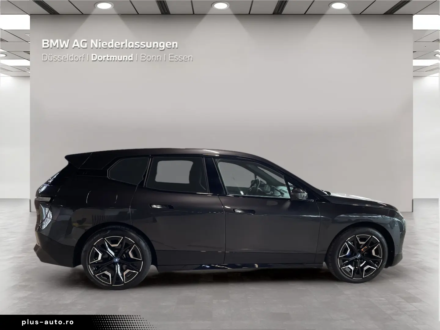 BMW iX xDrive50 AHK Driv.Assist.Prof Harman K Laser