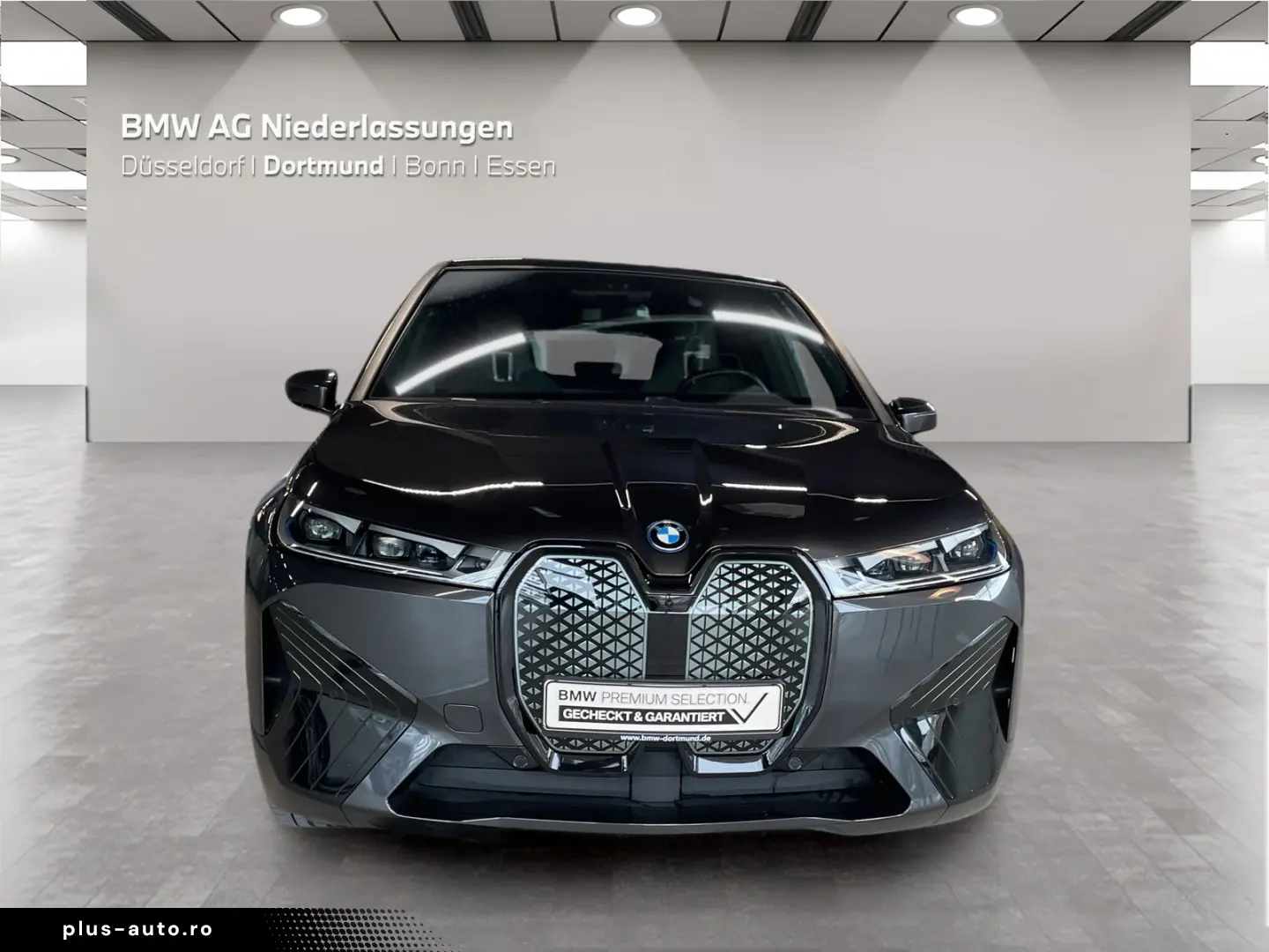 BMW iX xDrive50 AHK Driv.Assist.Prof Harman K Laser