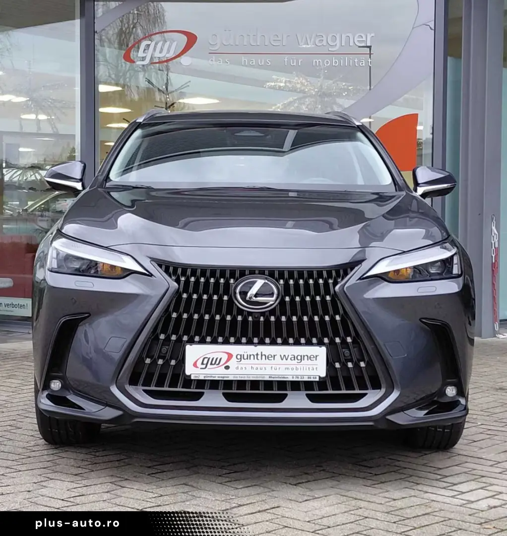 Lexus NX 350h E-FOUR Executive Line NX 350h 4X4