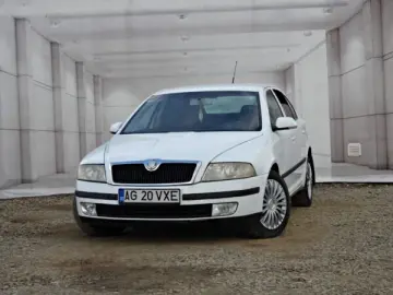 SKODA OCTAVIA   An 2006   Motor 1 9