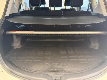 TOYOTA RAV4 Hybrid Team D