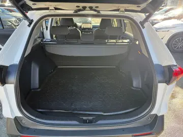 TOYOTA Toyota RAV 4 Hybrid Team Deutschland LED CAM