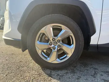 TOYOTA Toyota RAV 4 Hybrid Team Deutschland LED CAM