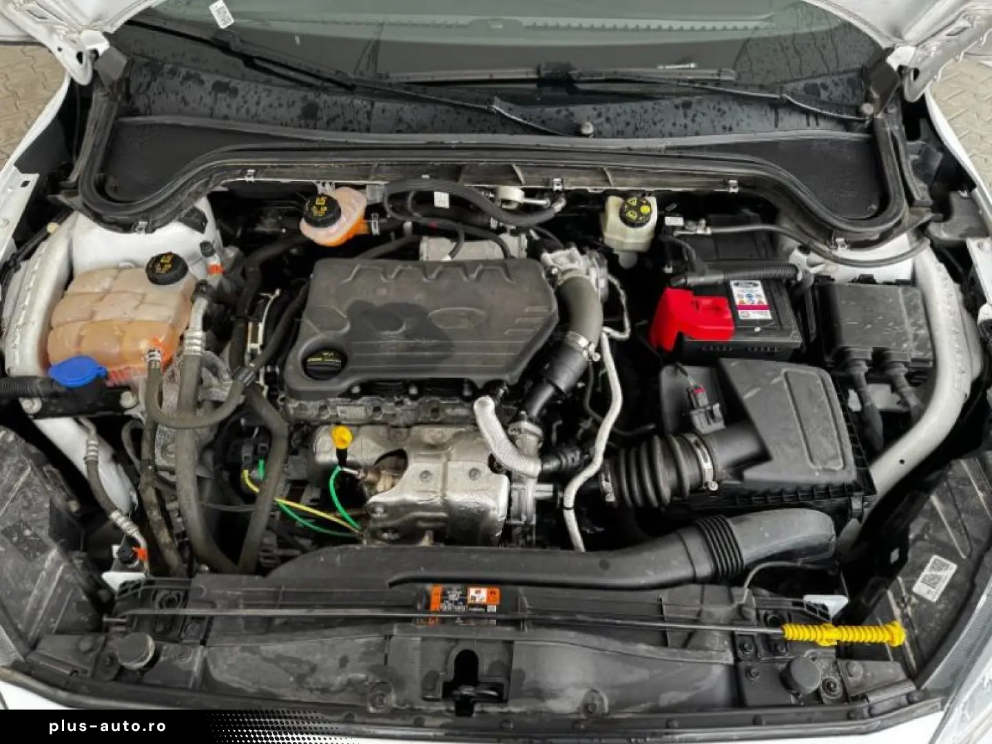 FORD FOCUS 1.5 EcoBlue 120CP Trend