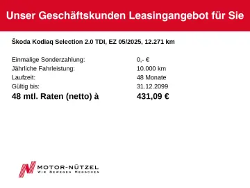 SKODA Kodiaq 2.0 TDI 4x4 SELECTION MATRIX PANO AHK-Vob