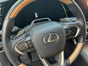 LEXUS RX 450 h  E-Four Luxury Line Deutsch TopZustand