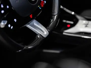 FERRARI Purosangue ~Ferrari Munsterhuis~