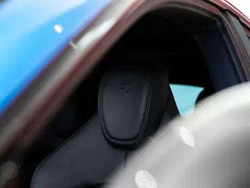 FERRARI Purosangue ~Ferrari Munsterhuis~