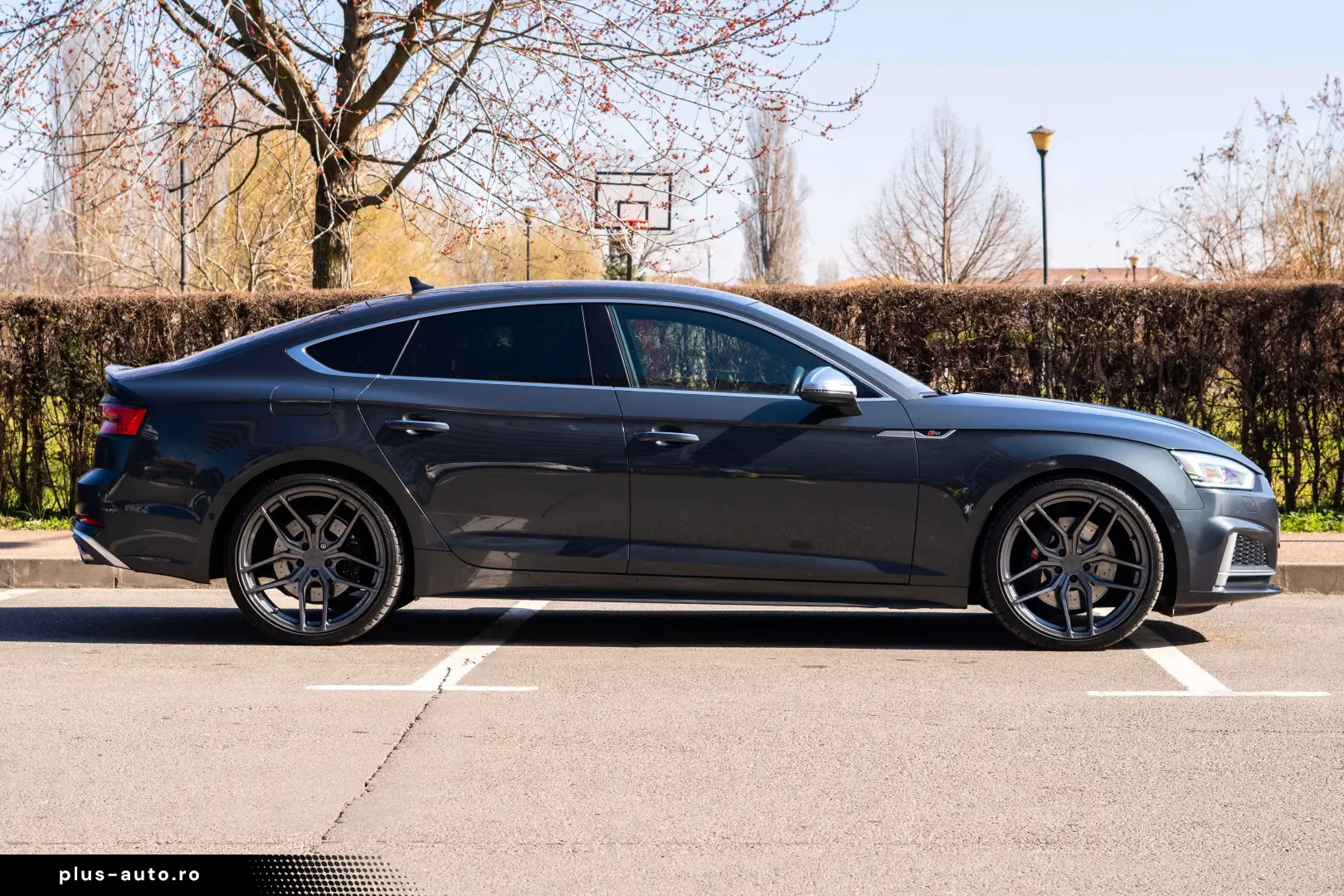 Audi S5 3.0 TFSI Quatrro S-tronic