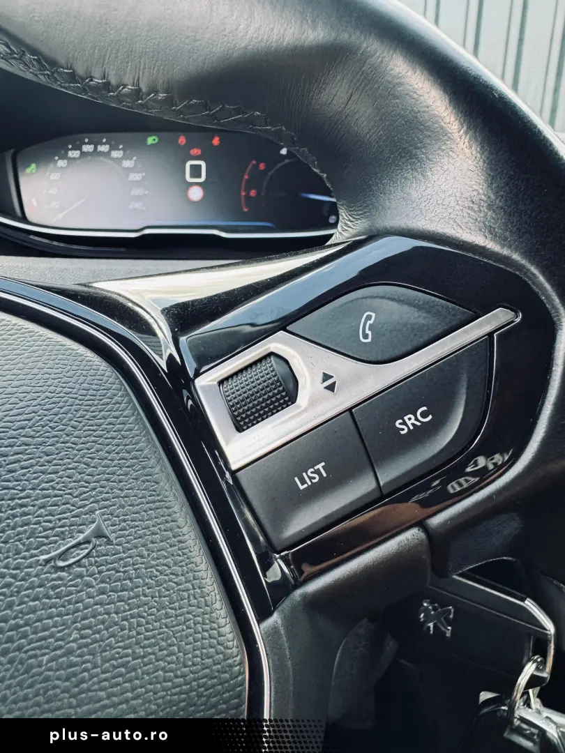 Peugeot 3008 BLUE-HDI  1.6 DIESEL 120 CP  Fab. 12.2016