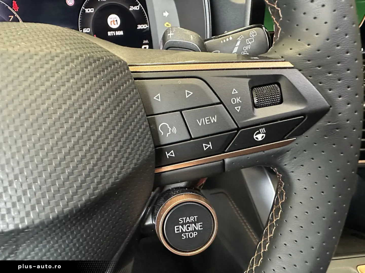 CUPRA Formentor VZ 4Drive Leder Sennheiser AHK Skyline