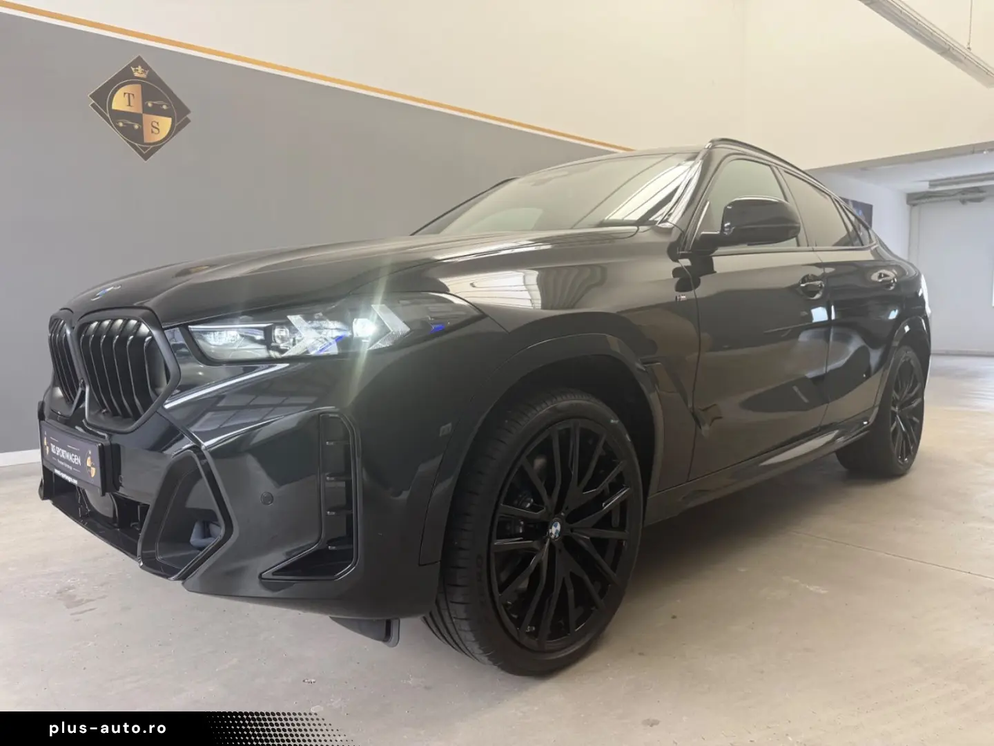 BMW X6 30 d xDrive M Sport Pano 22 Zoll AHK
