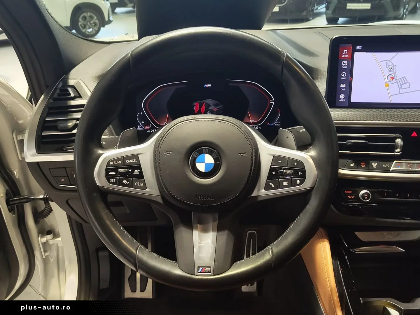 BMW X4 xDrive30d M Sport NaviProf AHK Parkassist ACC