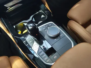 BMW X4 xDrive30d M Sport NaviProf AHK Parkassist ACC