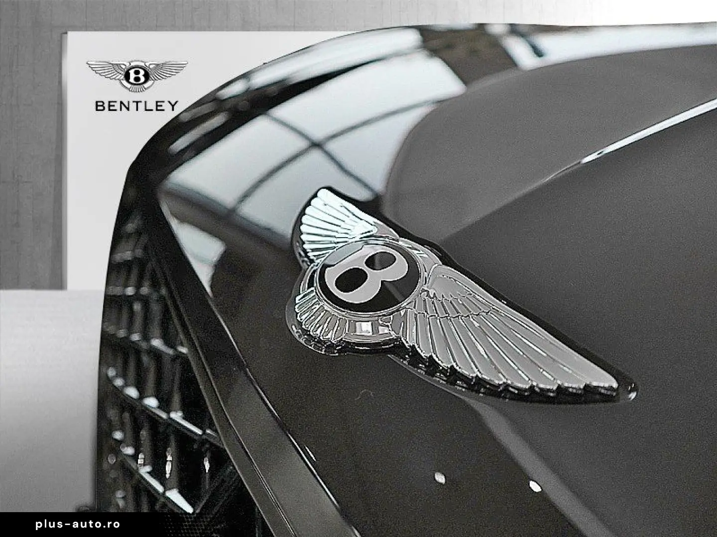 BENTLEY Continental GT Speed  MY25  V8 HYBRID  NEW