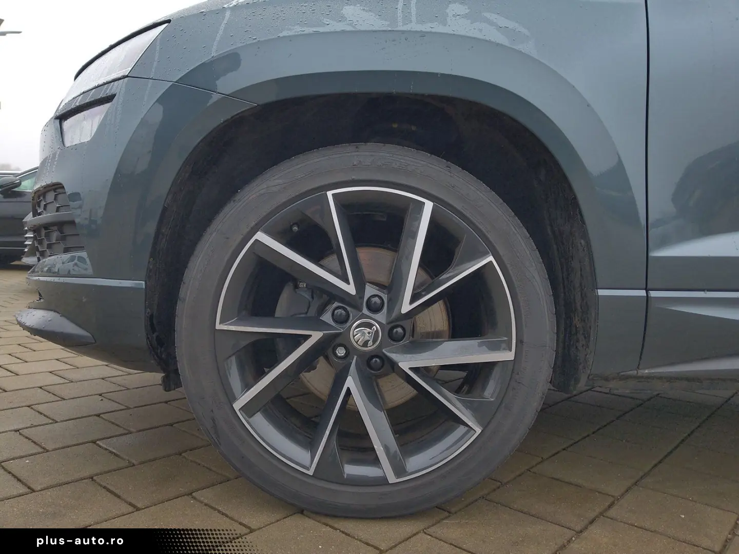 SKODA Karoq Sportline 2.0 TDI DSG 4x4 AHK ACC Amundsen