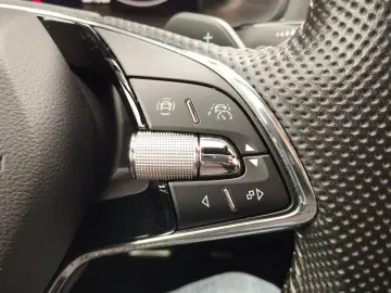 SKODA Karoq 2.0 TSI Sportline 4x4 DSG 4xSHZ ACC AHK LM