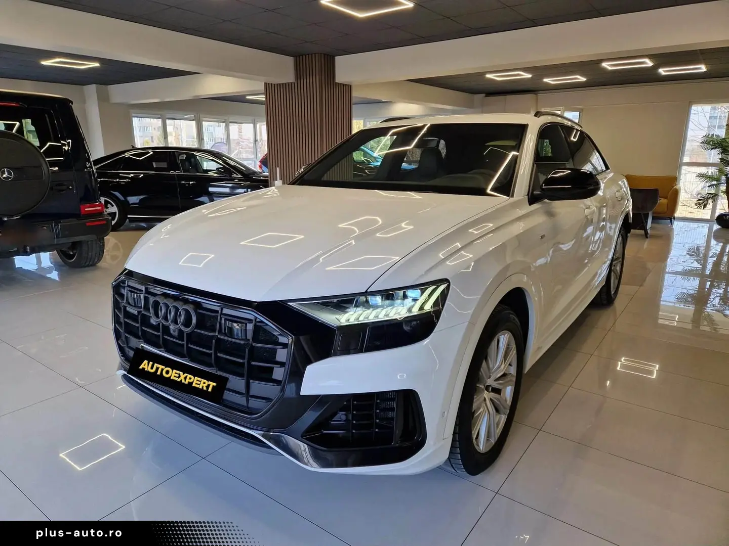 Audi Q8 3.0 50 TDI quattro Tiptronic MHEV