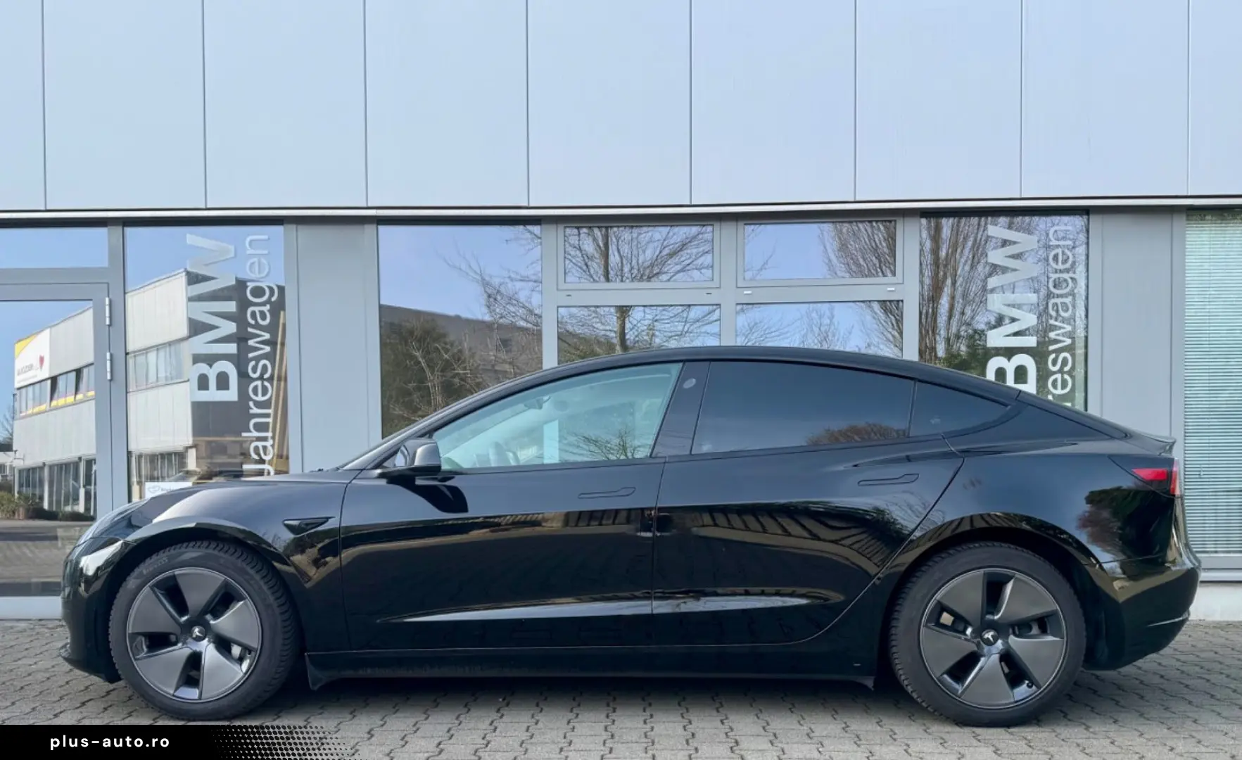 TESLA Model 3 RWD Innen schwarz und weiss VAT