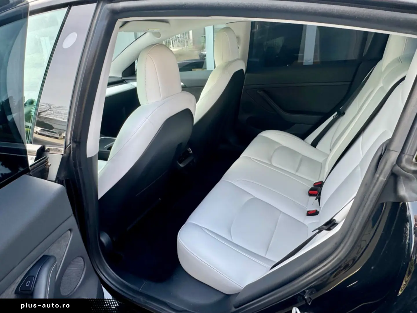 TESLA Model 3 RWD Innen schwarz und weiss VAT