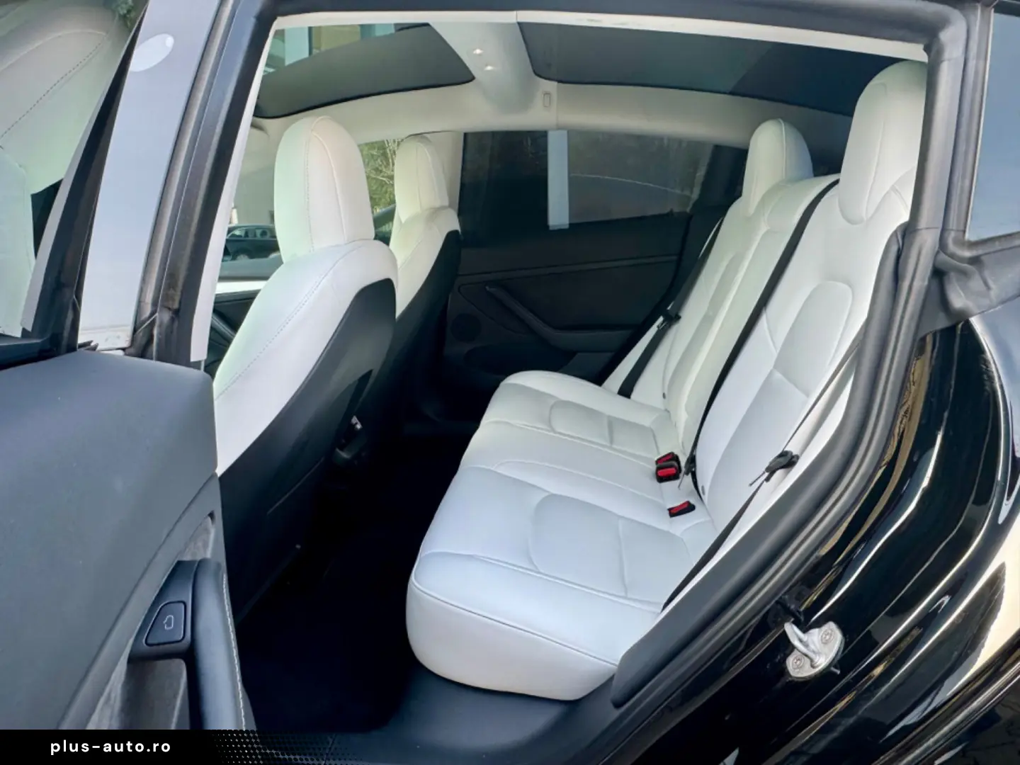 TESLA Model 3 RWD Innen schwarz und weiss VAT