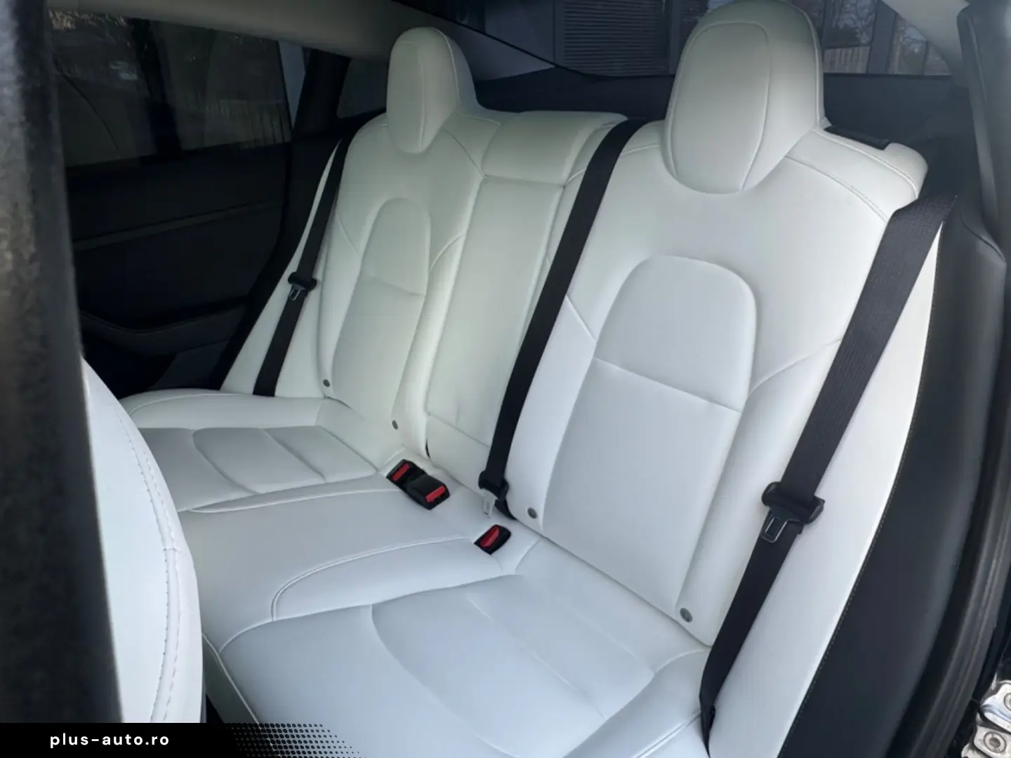 TESLA Model 3 RWD Innen schwarz und weiss VAT