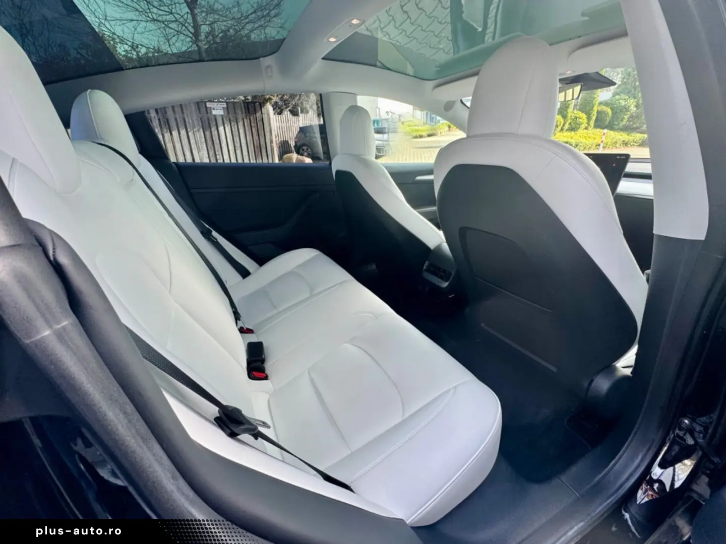 TESLA Model 3 RWD Innen schwarz und weiss VAT