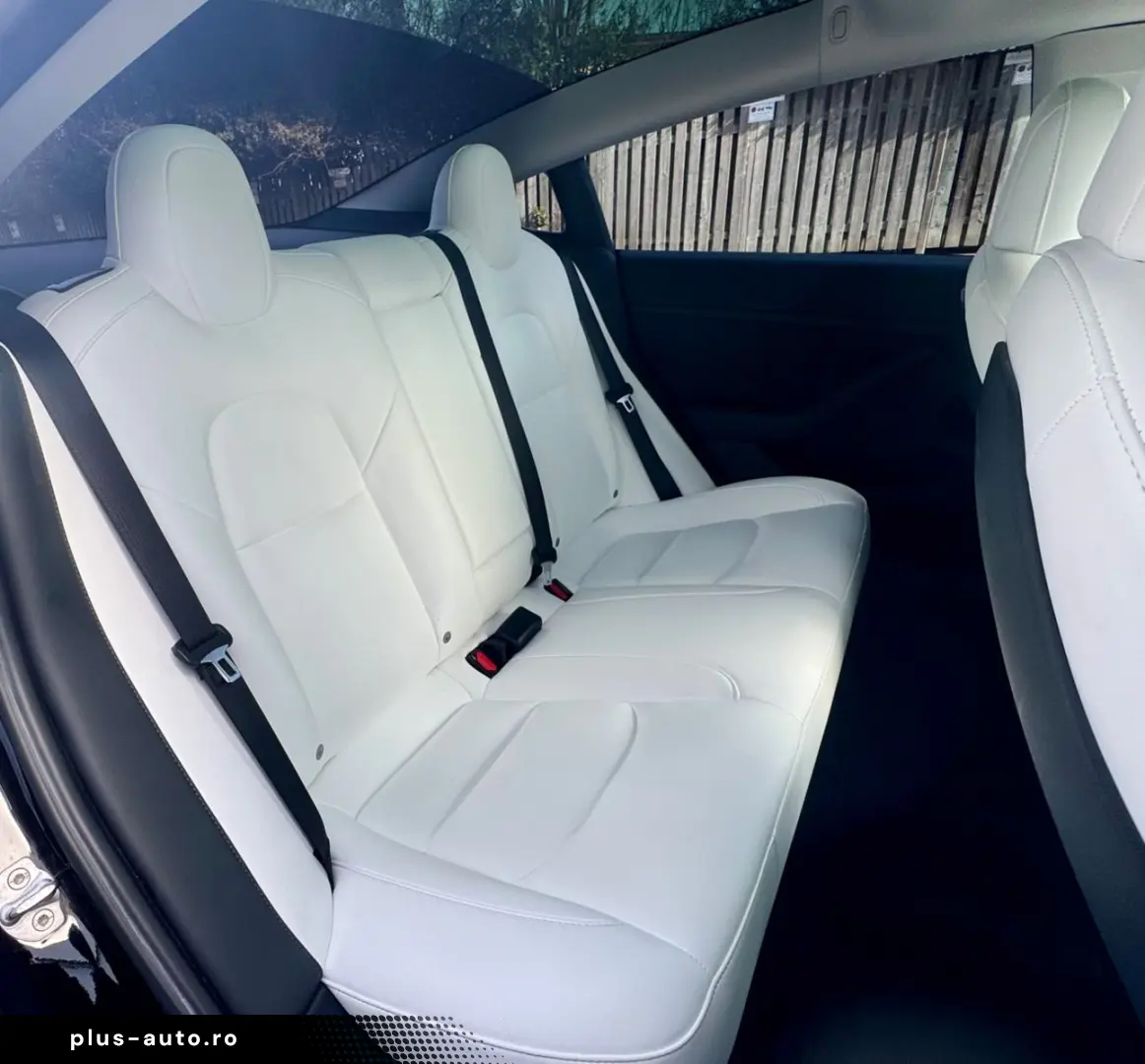 TESLA Model 3 RWD Innen schwarz und weiss VAT