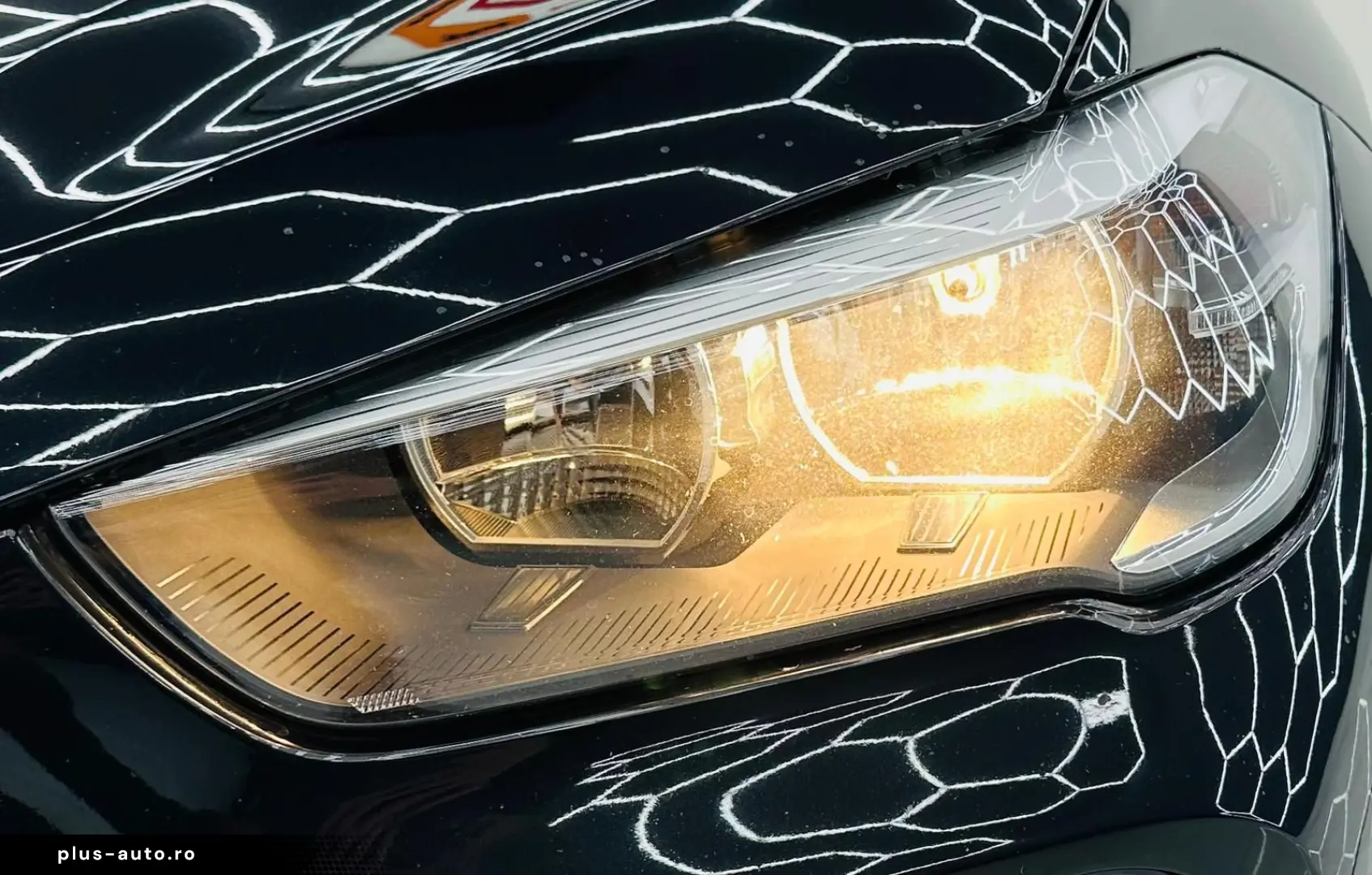 BMW X1 2017 2.0D E6 Garantie 12 Luni Rate Avans 0 Doar Cu Bu