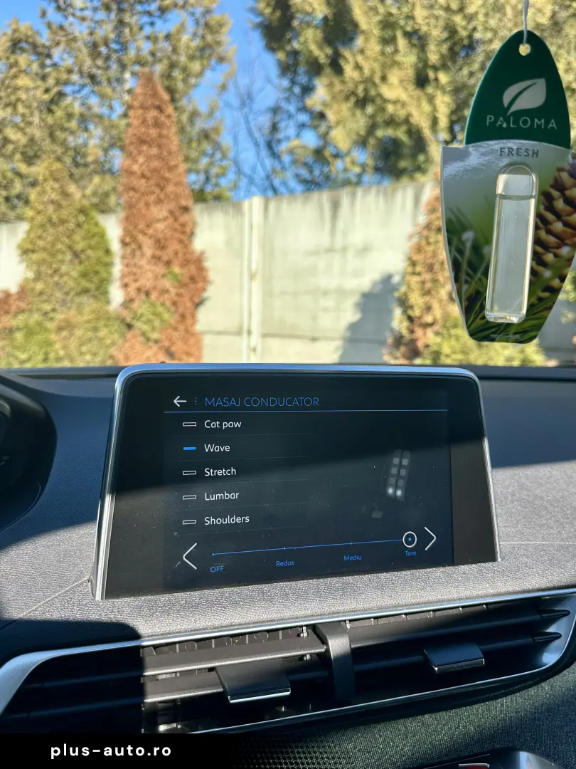 Peugeot 3008 2019 145.000 KM Masaj Incalzire Rate Garantie