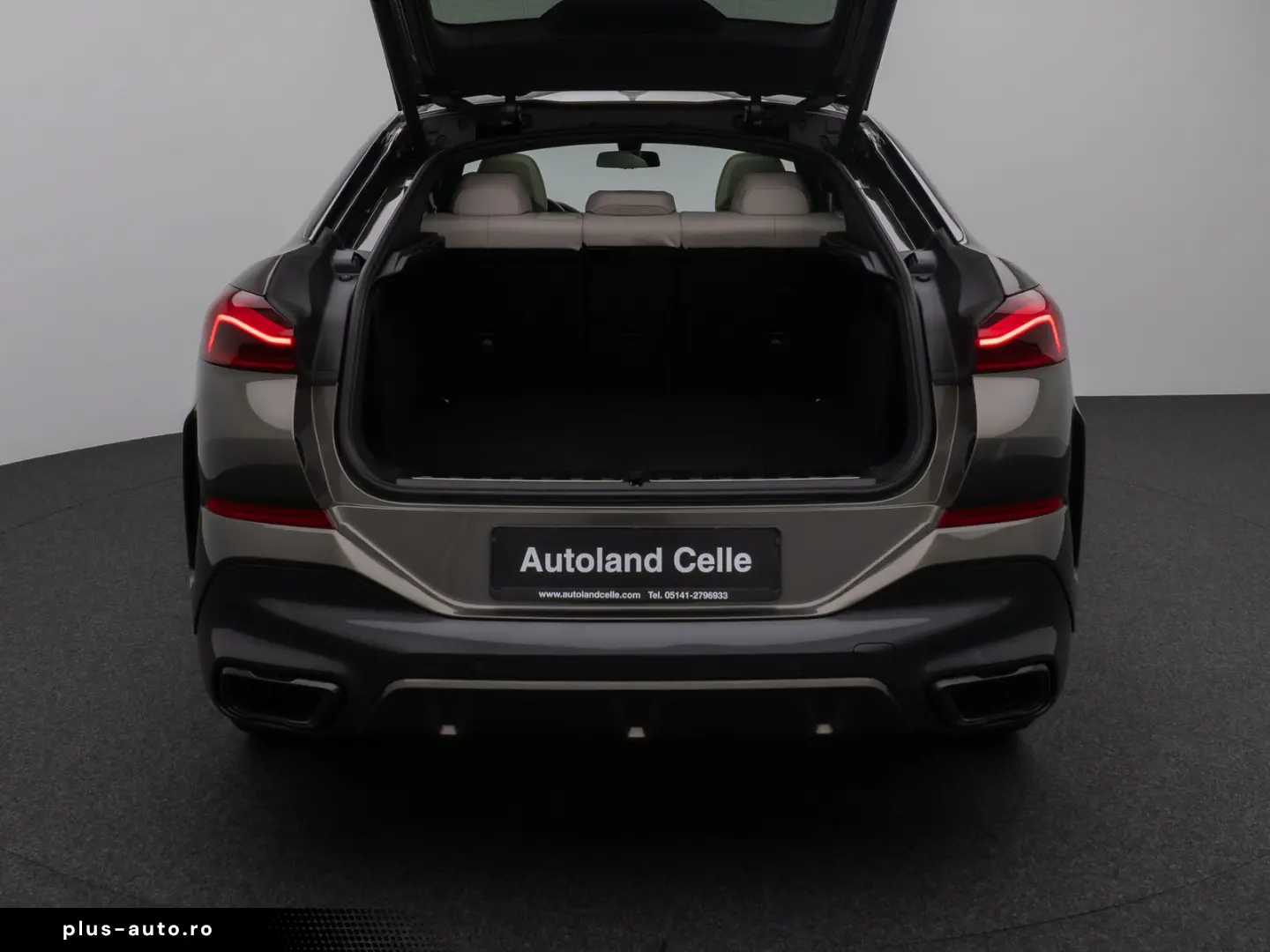 BMW X6 M50i Individual Panorama