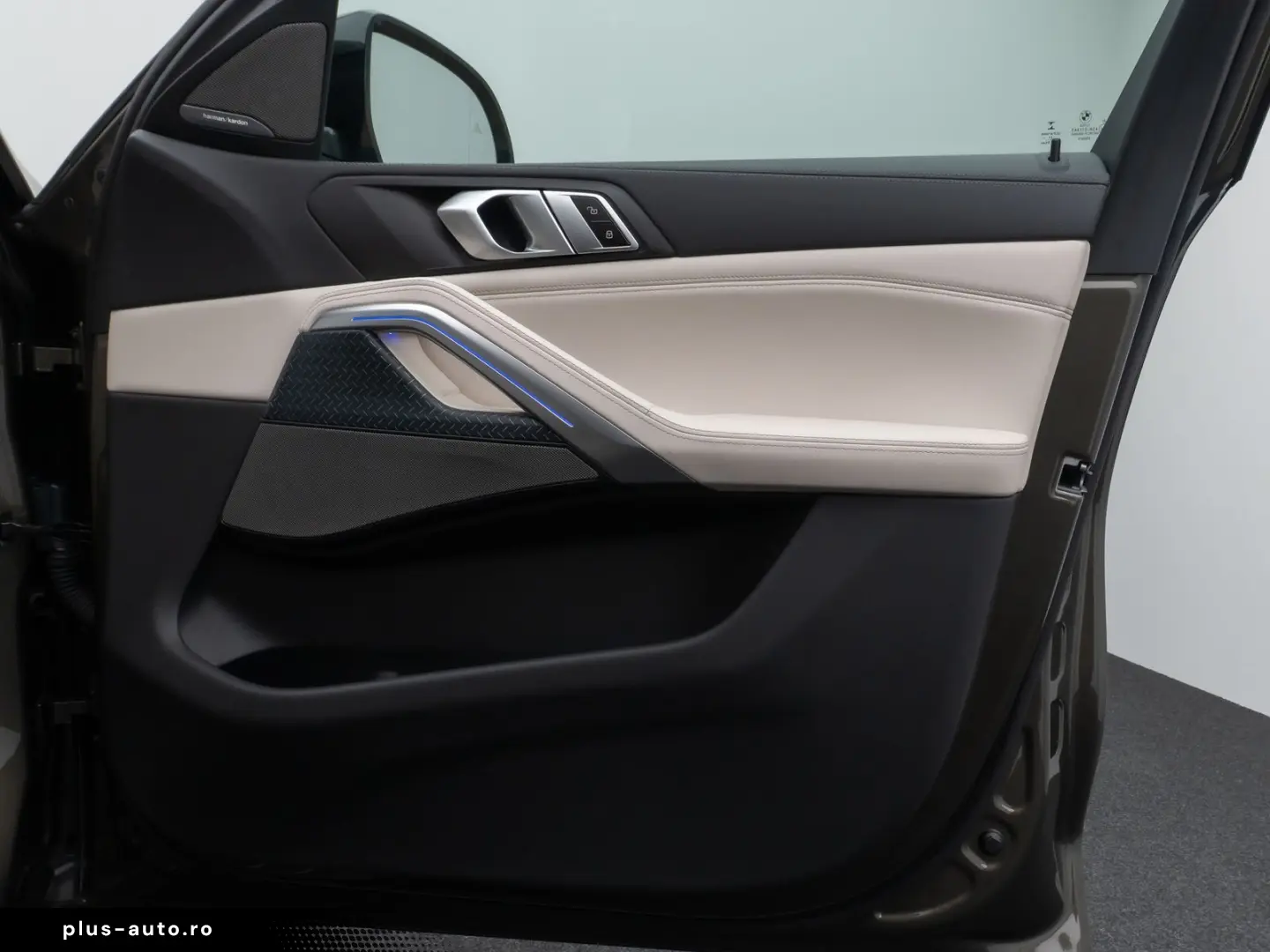 BMW X6 M50i Individual Panorama