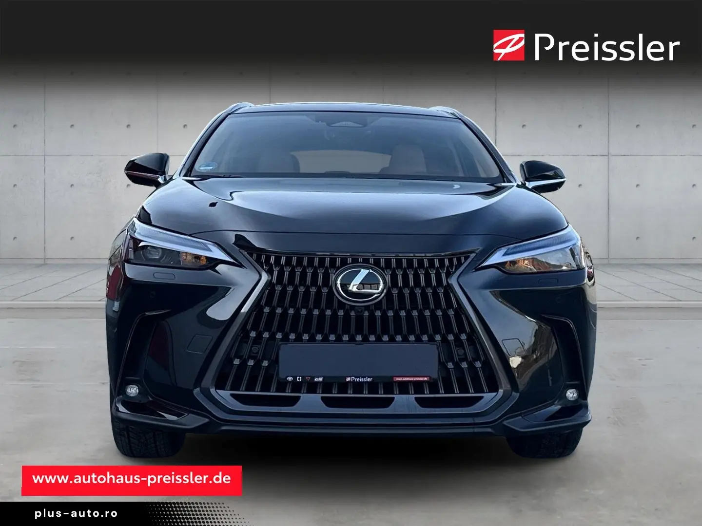 LEXUS NX 350h E-Four  Executive  HUD Panorama 360 Kame