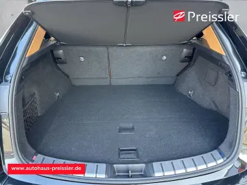 LEXUS NX 350h E-Four  Executive  HUD Panorama 360 Kame