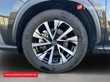 LEXUS NX 350h E-Four  Executive  HUD Panorama 360 Kame