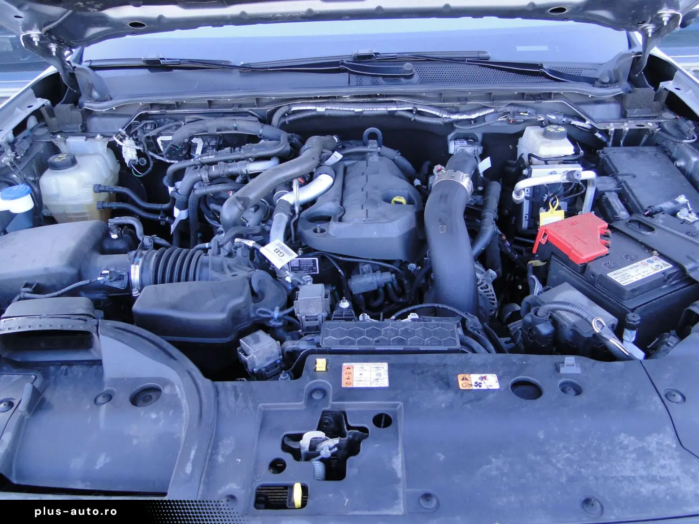 FORD Raptor Doppelkabine