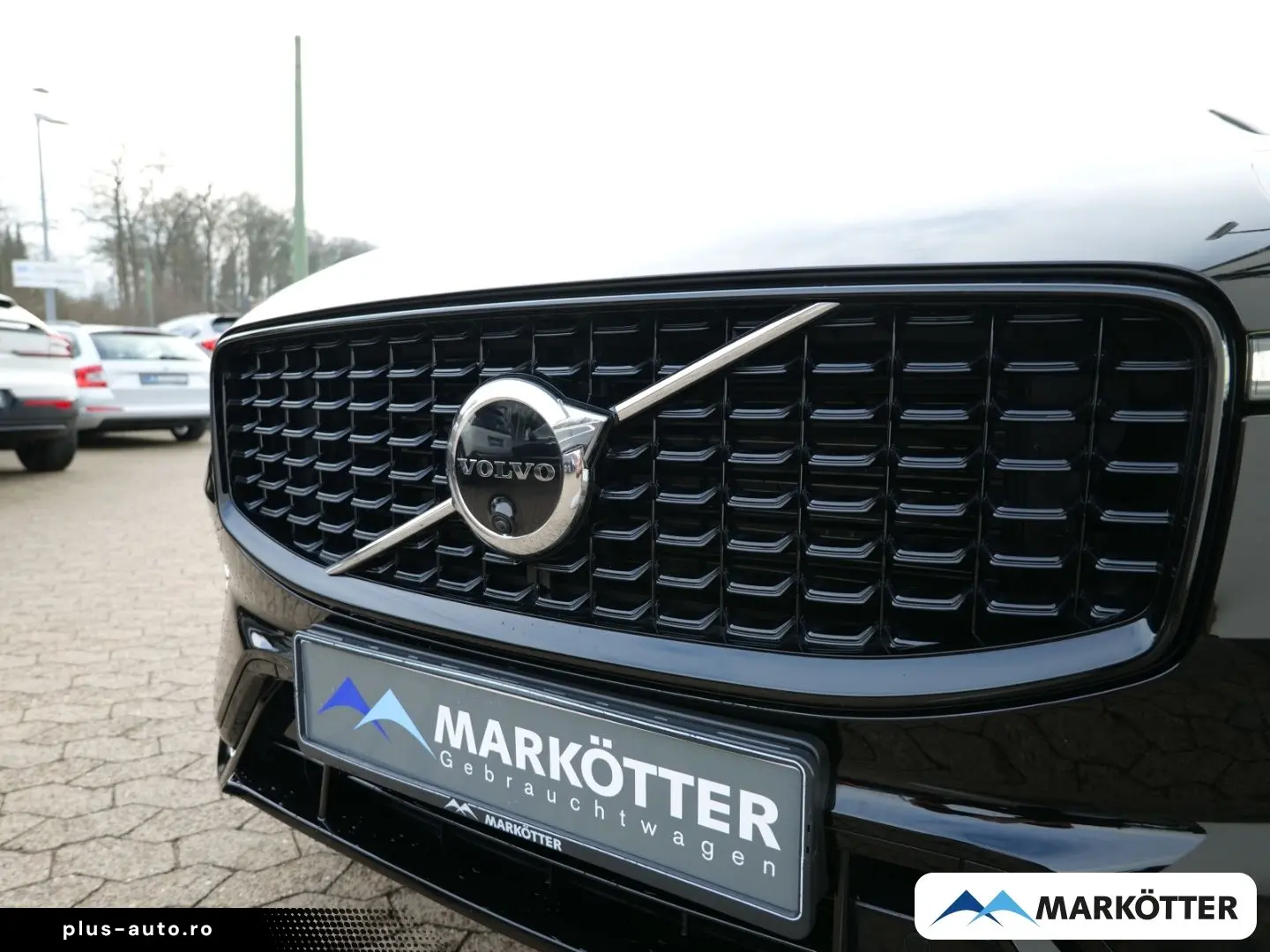VOLVO XC60 B4 AWD Plus Dark ACC BLIS 360 Standhzg Holz