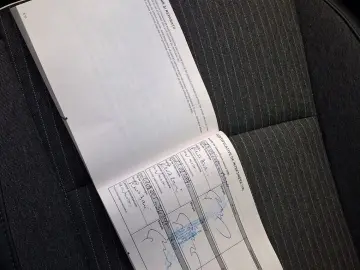 Renault Clio 42000 km