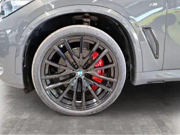 BMW X5 xDrive30d M Sport Driv.Assist.Prof Harman K