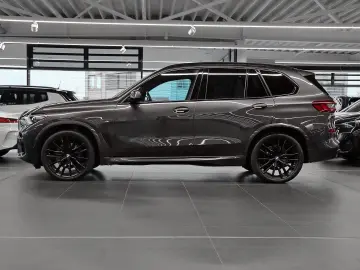 BMW X5 xDrive30d M Sport Pano. 22  Anhängekupplung
