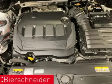 VW Tiguan 2.0 TDI DSG 4Mo Elegance AHK PANO STAND 2