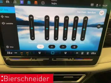 VW Tiguan 2.0 TDI DSG 4Mo Elegance AHK PANO STAND 2