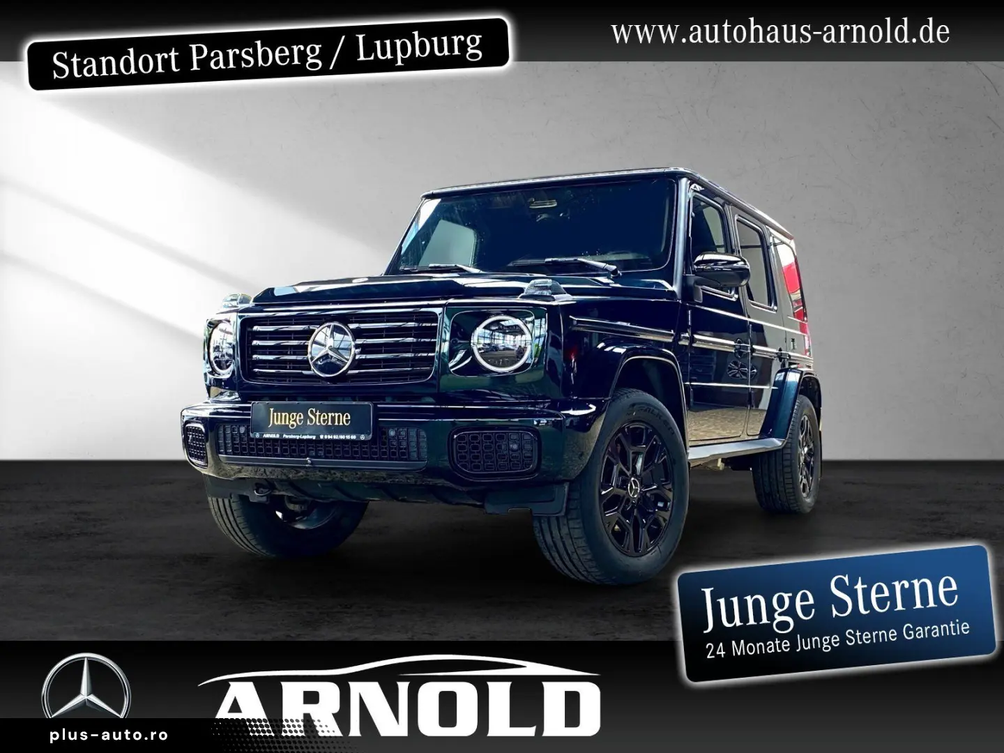 MERCEDES-BENZ G 450 d PROFESSIONAL Distr. Leder 360  AHK SHD