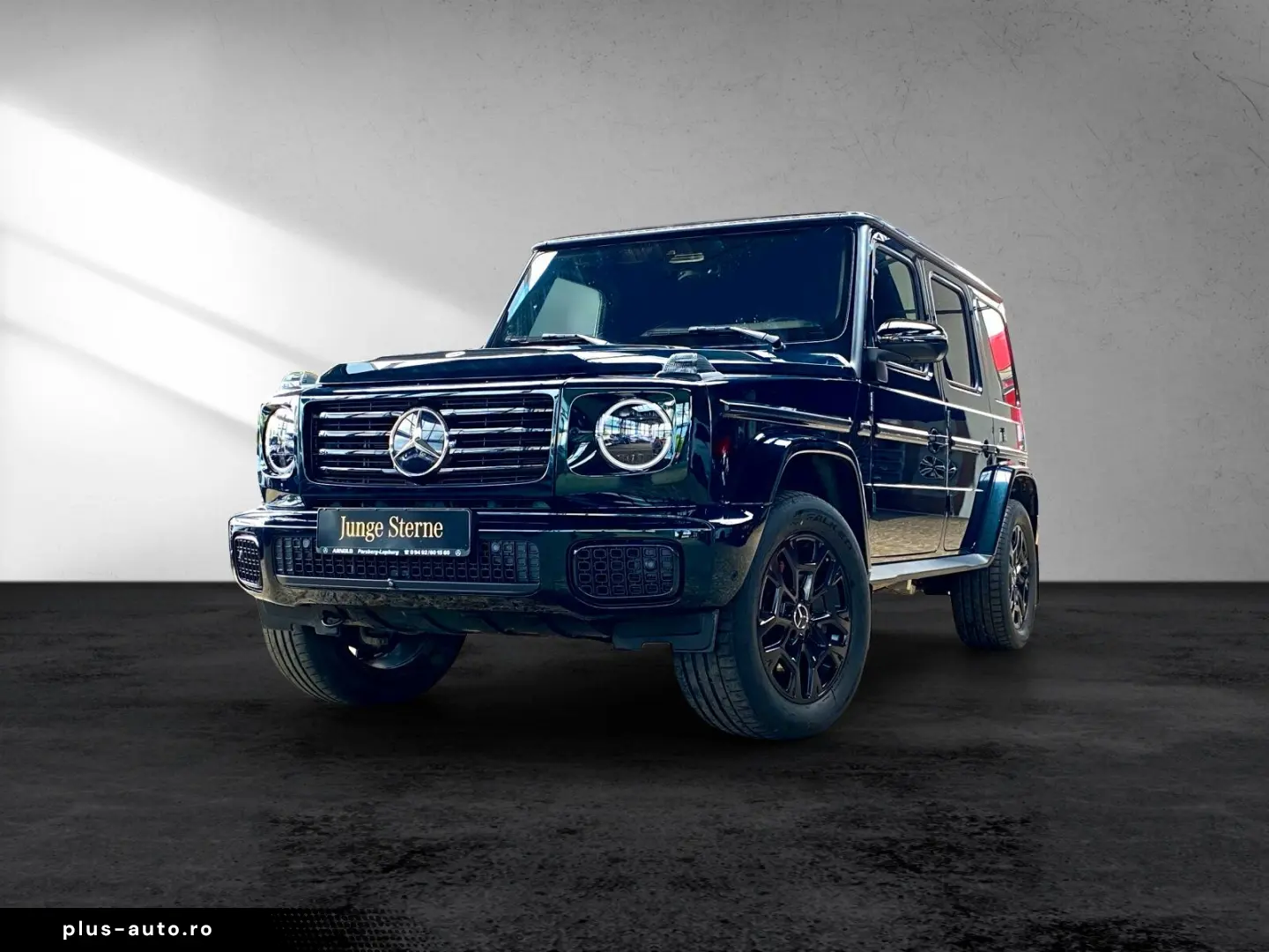 MERCEDES-BENZ G 450 d PROFESSIONAL Distr. Leder 360  AHK SHD