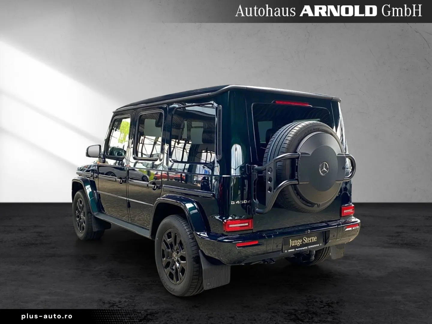 MERCEDES-BENZ G 450 d PROFESSIONAL Distr. Leder 360  AHK SHD