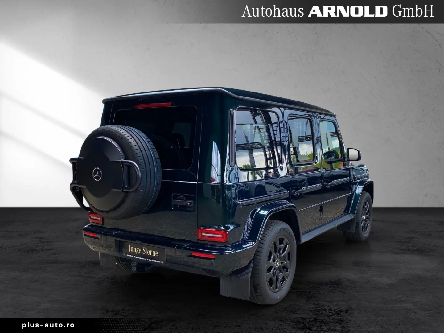 MERCEDES-BENZ G 450 d PROFESSIONAL Distr. Leder 360  AHK SHD