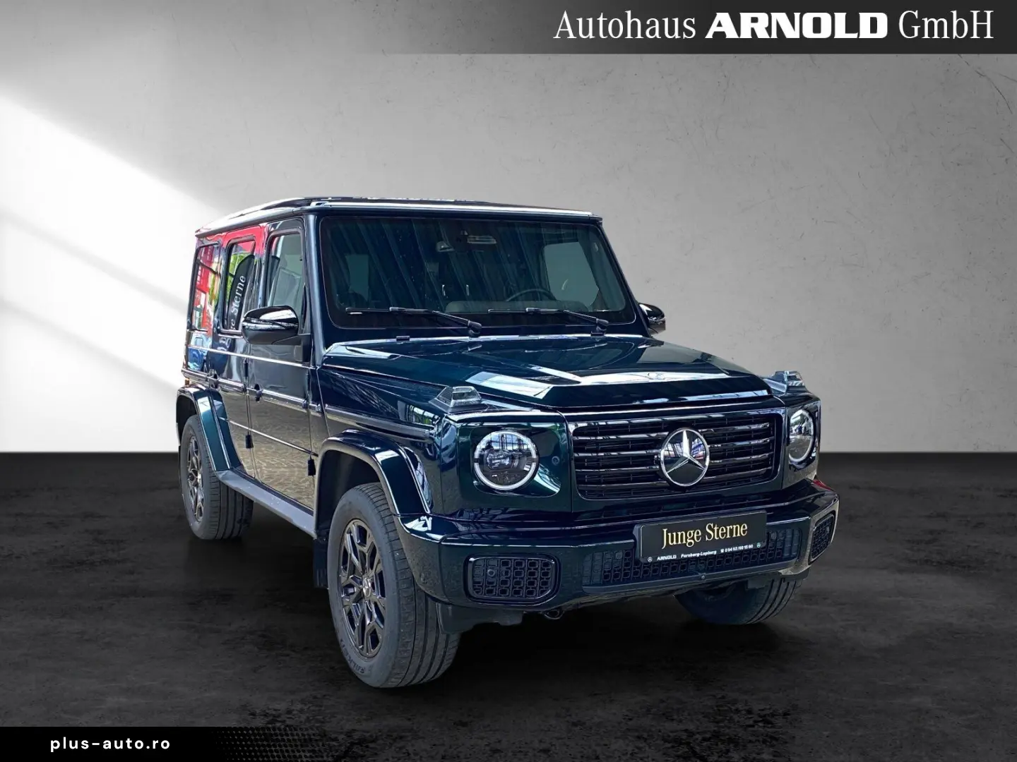 MERCEDES-BENZ G 450 d PROFESSIONAL Distr. Leder 360  AHK SHD